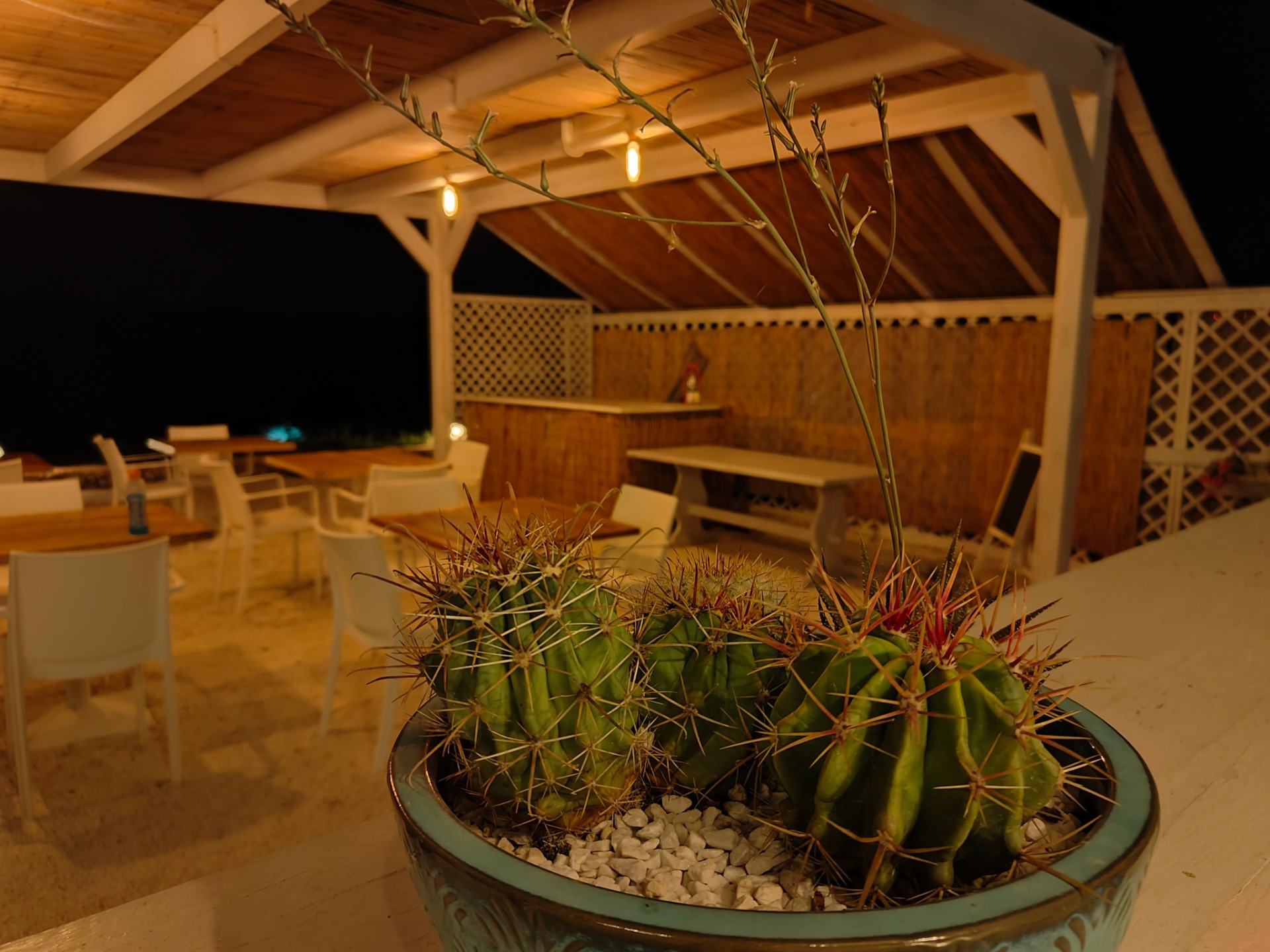 Cena sotto le stelle nella corte della masseria Tenuta Sofia