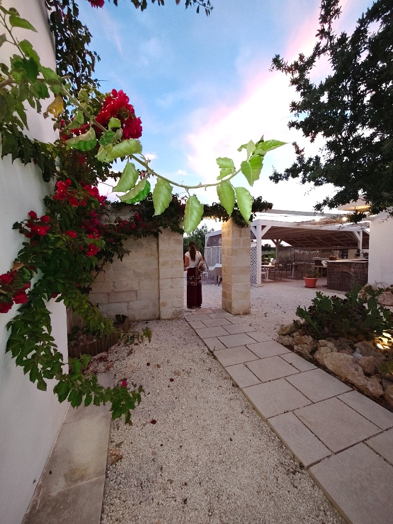 Bougainvillea in fiore nel patio dell agriturismo