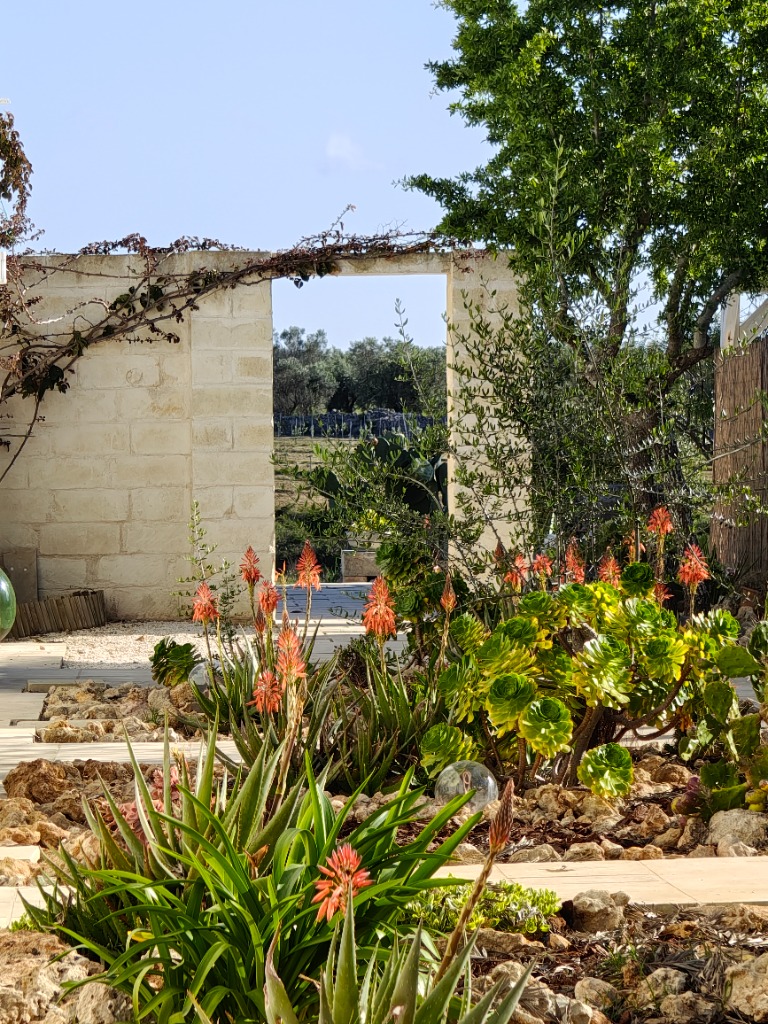 Portale in pietra leccese con aloe