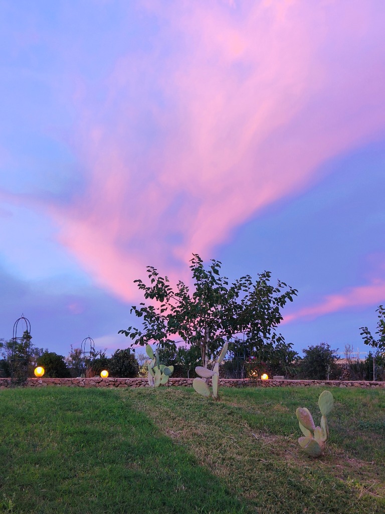 Cielo sfumato di rosa e viola al tramonto