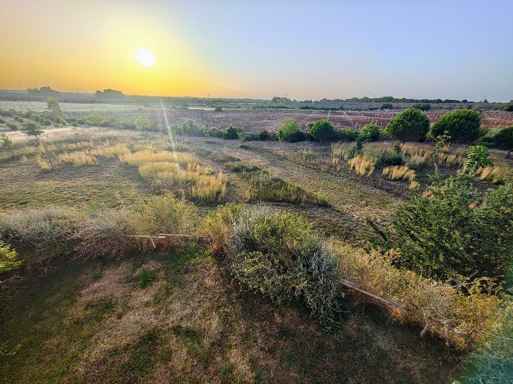 Tramonto panoramico sui vigneti della Tenuta Sofia